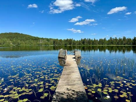 Träbrygga på en sjö med näckrosor och skog i bakgrunden en sommardag.